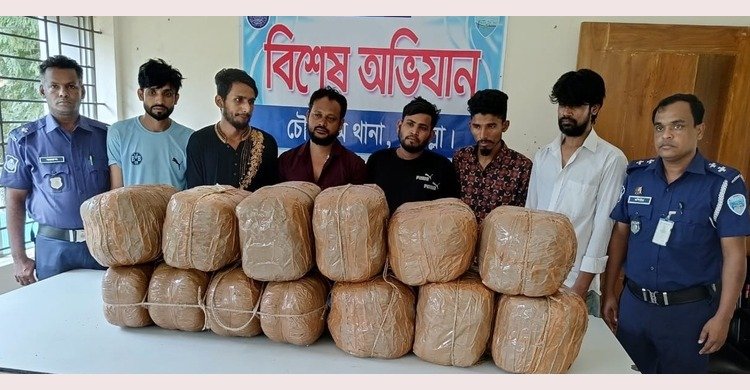কুমিল্লা চৌদ্দগ্রামে ৫০ কেজি গাঁজাসহ ০৬ জন গ্রেফতার