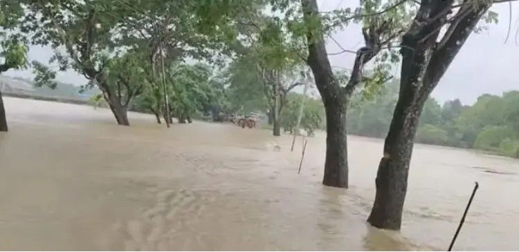 বন্যা মোকাবিলায় সাড়ে ৪ কোটি টাকা ও ৯ হাজার টন চাল বরাদ্দ